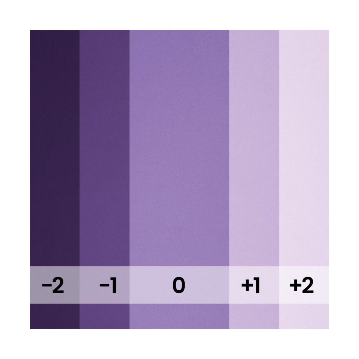 bd_backgrounds_154_purple_03